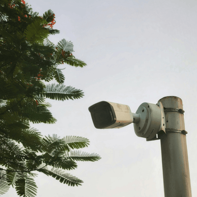 SIM card installed in a cellular trail camera