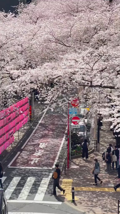Japan Travel SIM eSIM: 7-30 Day Unlimited Data with Various Prepaid Plans