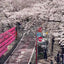 Japan Travel SIM Card: 7-180 Day Unlimited Data with Various Plans