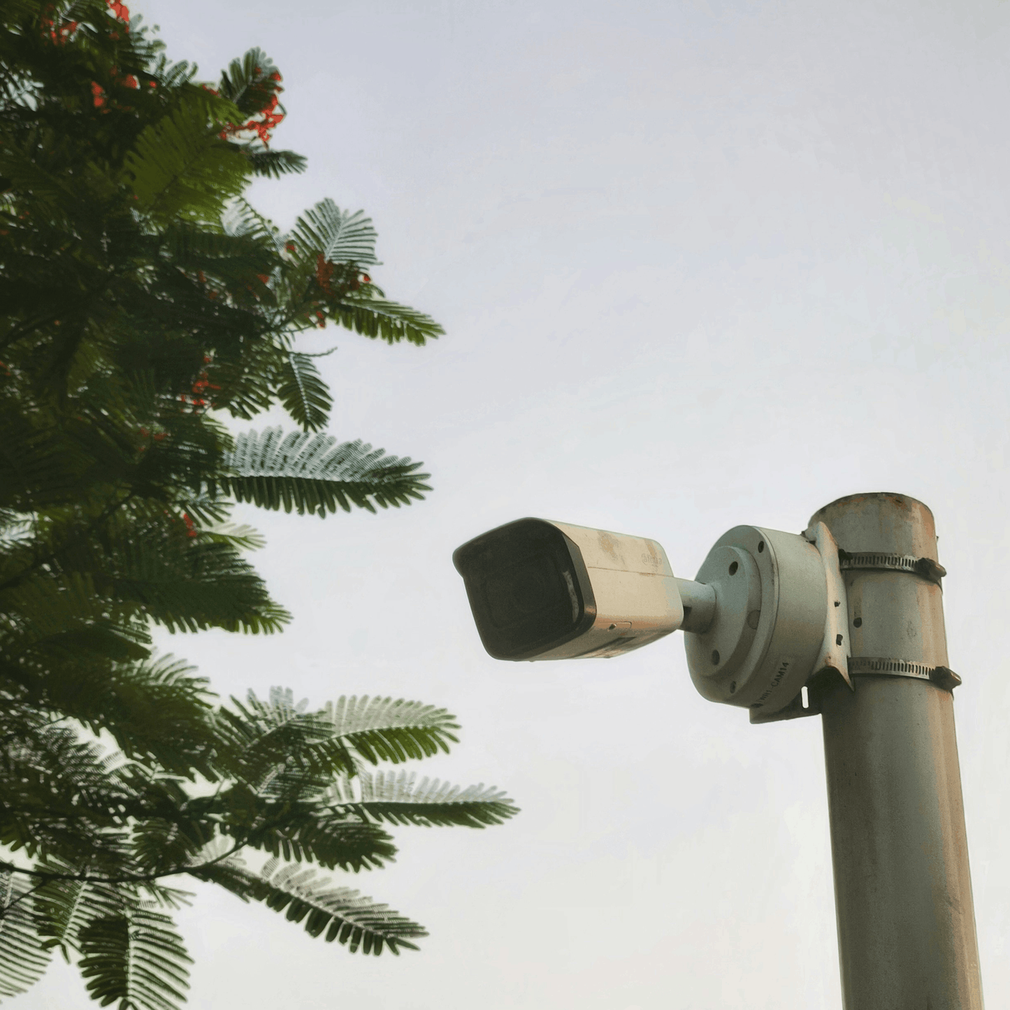 SIM card installed in a cellular trail camera