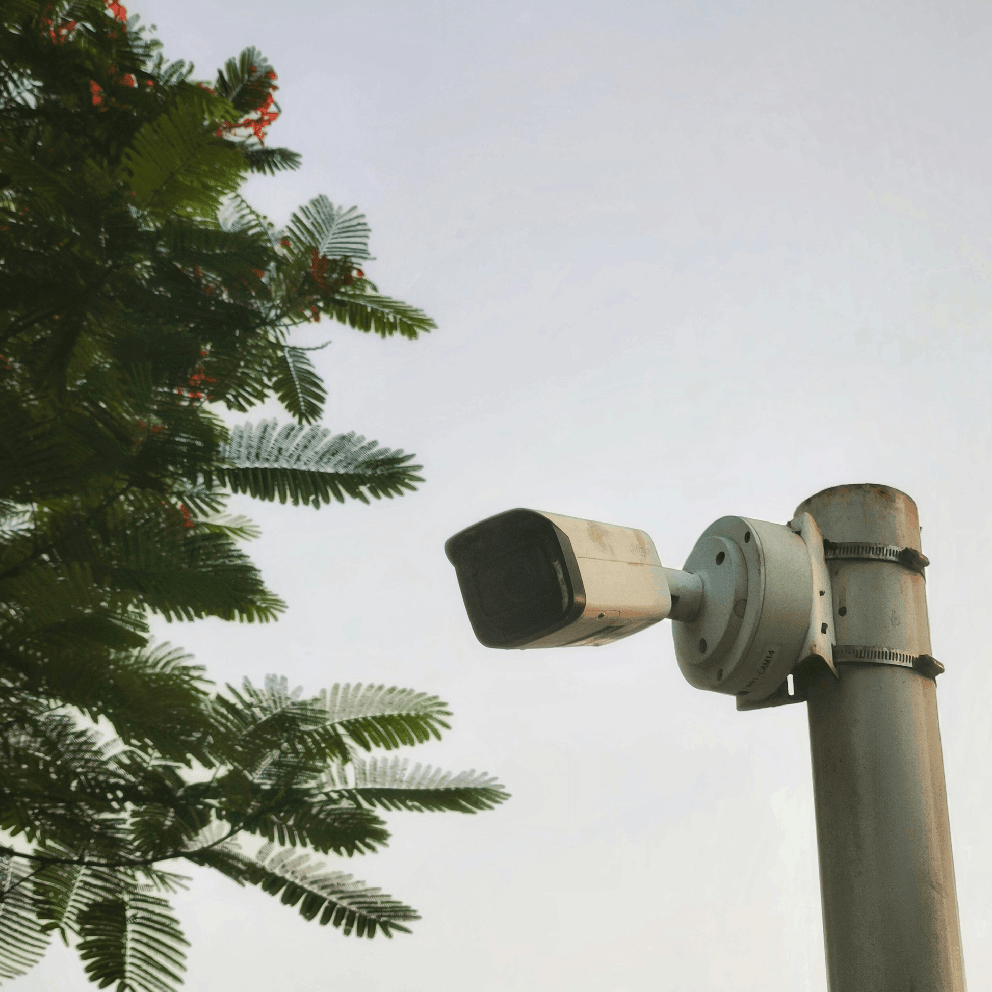SIM card installed in a cellular trail camera
